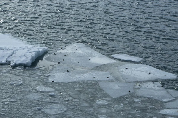 Blocchi di ghiaccio che si sciolgono nella laguna del ghiacciaio Jokulsarlon, Islanda — Foto Stock