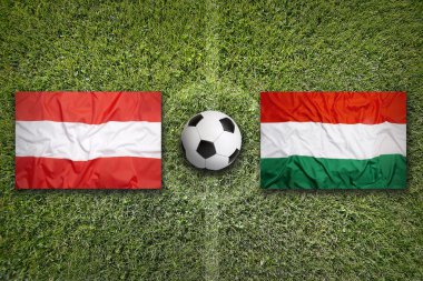 Avusturya vs Macaristan, F Grubu