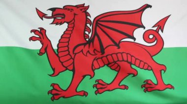 Galler Ulusal bayrak taşıma