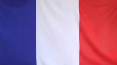 Fransa'nın ulusal bayrak taşıma