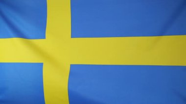 İsveç bayrağı