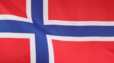 Norveç bayrağı