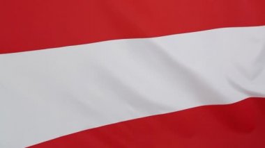 Ağır çekimde closeup Avusturya bayrağı