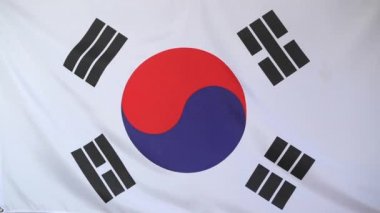 Güney Kore bayrağı