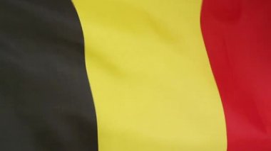 Belçika Ulusal bayrak taşıma