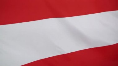 Avusturya ulusal bayrak closeup