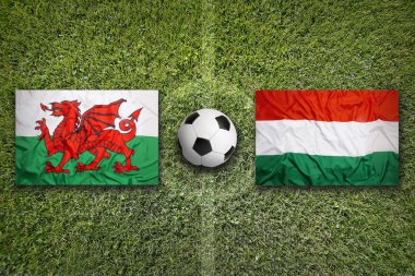 Galler vs Macaristan futbol sahası üzerinde bayraklar