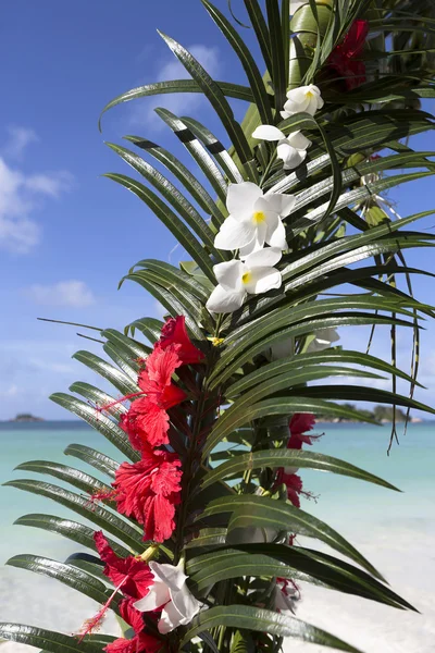 Décoration de mariage à l'île de Praslin, Seychelles — Photo