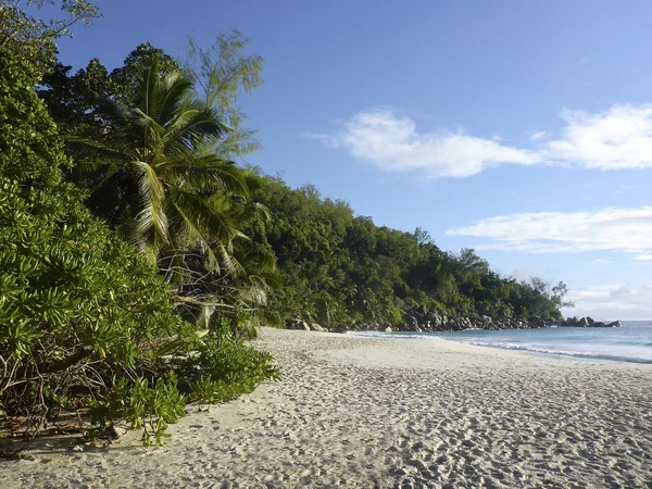 Playa de Anse Georgette, Seychelles —  Fotos de Stock