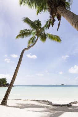 Cennet plaj, Praslin Adası, Seyşel Adaları