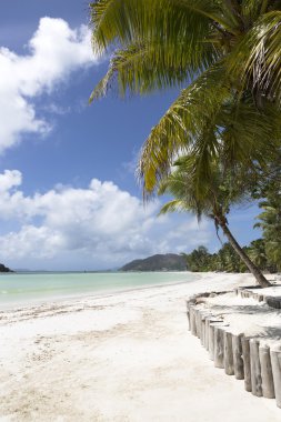Cennet plaj Praslin Island, Seyşel Adaları