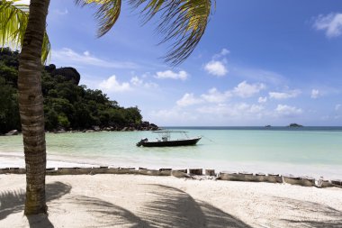 Tropikal plaj, Anse Volbert Praslin Island, Seyşel Adaları