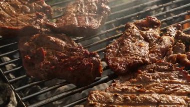 Barbekü ızgara et closeup