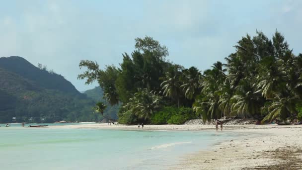 Plage tropicale d'Anse Volbert, Seychelles 
