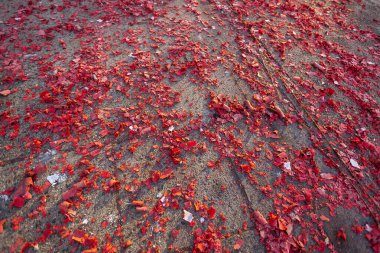 Yeni yıl arifesinden sonraki gün havai fişekler