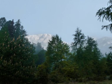 Adler Via ferrata, Karkopf Dağı, Tyrol, Avusturya İlkbaharda