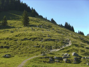 Yaz zamanı Germay, Bavyera 'daki Aiplspitz Dağı' na giden yürüyüşçüler