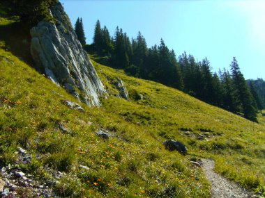 Yaz zamanı Germay, Bavyera 'daki Aiplspitz Dağı' na dağ turu
