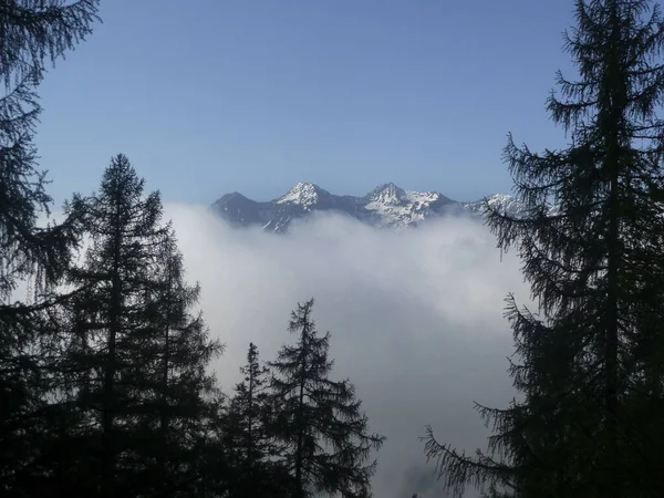 Adler Ferrata Στο Βουνό Karkopf Tyrol Αυστρία Την Άνοιξη — Φωτογραφία Αρχείου