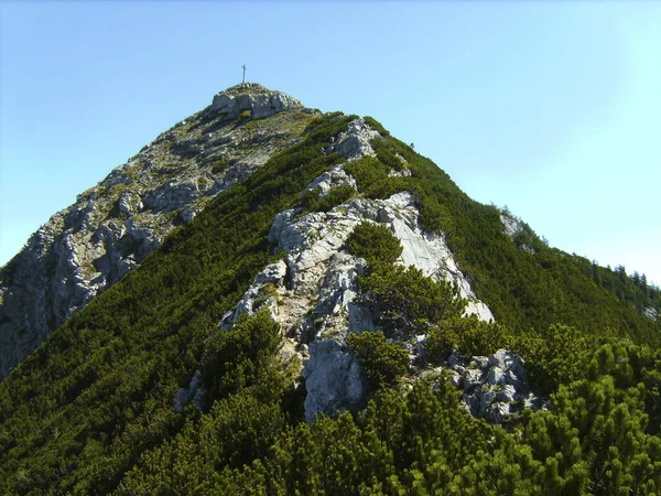 Crucea Vârf Muntelui Aiplspitz Din Bavaria Germay Timpul Verii — Fotografie, imagine de stoc