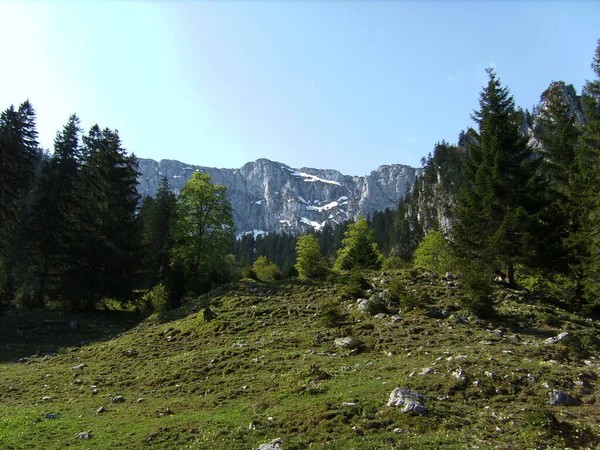 Mountain Benediktenwand Στη Βαυαρία Γερμανία Wintertim — Φωτογραφία Αρχείου