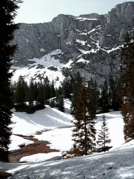 Montagne Benediktenwand Bavière Allemagne Hiver — Photo