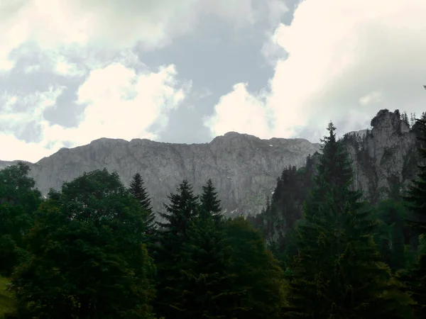 Mountain Benediktenwand Bavaria Germany Springtime — Stock Photo, Image