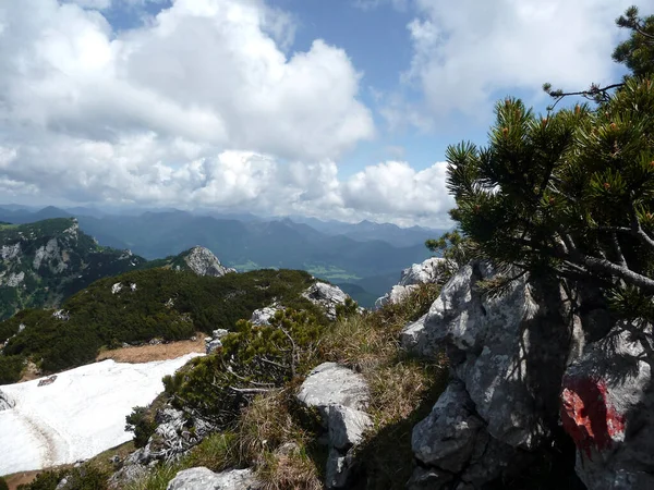 Bergspanorama Vid Berget Benediktenwand Bayern Tyskland Våren — Stockfoto