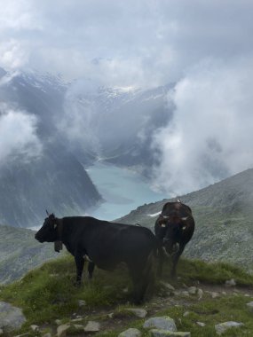 Schlegeisspeicher rezervuarı, Olperer kulübesi, Berlin yüksek yolunda, Zillertal Alpler, Tyrol, Avusturya