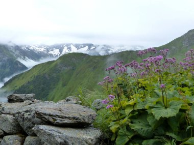 Berlin yüksek yolu, Avusturya Tyrol 'da Zillertal Alpleri