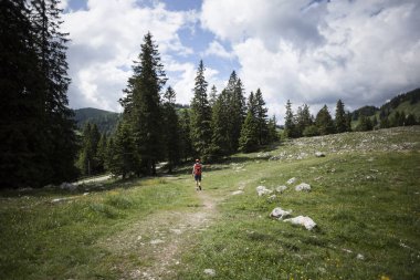 Yaz mevsiminde Bavyera dağlarında yürüyüşçü