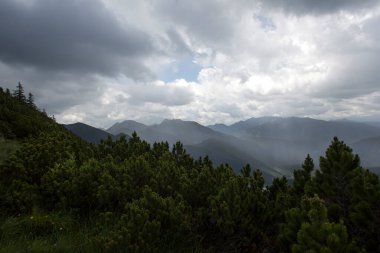 Yazın Almanya 'da Bavyera dağlarında sağanak yağmur
