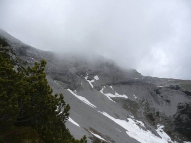 Yaz aylarında Avusturya 'nın Tyrol kentindeki Daniel dağına dağ yürüyüşü turu