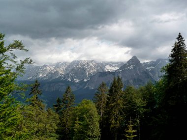 Yaz aylarında Avusturya 'nın Tyrol kentindeki Daniel dağına dağ yürüyüşü turu