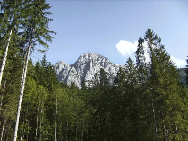 Boeslsteig Ferrata Berchtesgaden Alps Bavorsko Německo Jaře — Stock fotografie