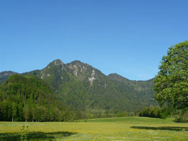 Escursione Montagna Brauneck Baviera Germania — Foto Stock