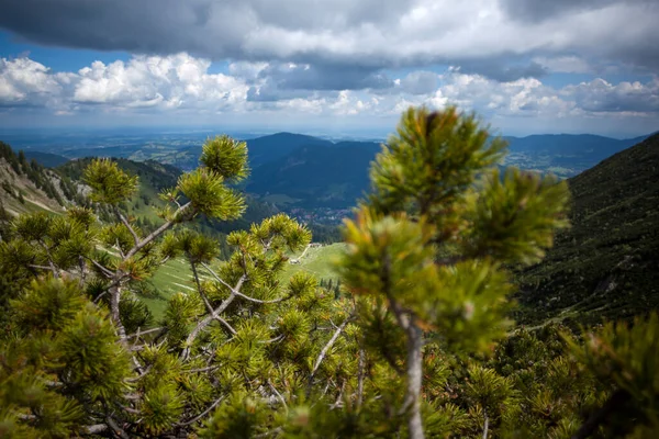 Panorama Montano Brecherspitze Baviera Germania Estate — Foto Stock