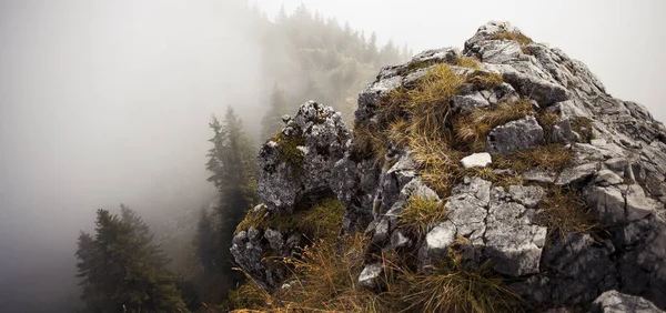 Панорама Гір Брейтенштейн Восени Баварія Німеччина — стокове фото