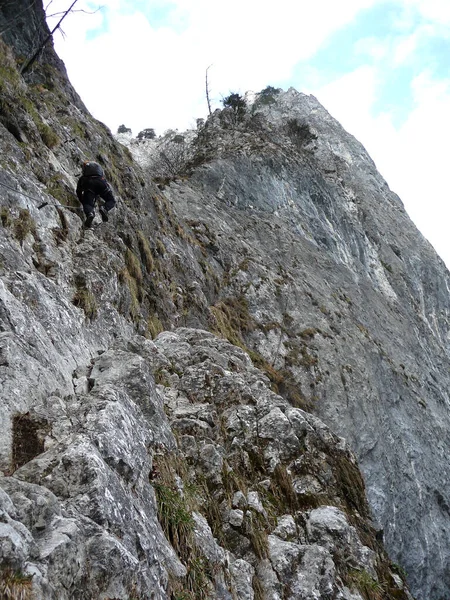 Horolezec Drachenwand Přes Ferrata Salcburk Rakousko — Stock fotografie