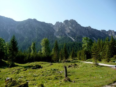 Friederspitz Dağı 'na dağ yürüyüşü turu, Bavyera, Almanya