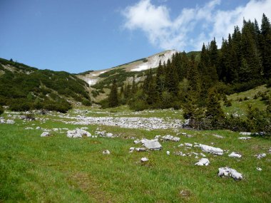 Friederspitz Dağı 'na dağ yürüyüşü turu, Bavyera, Almanya