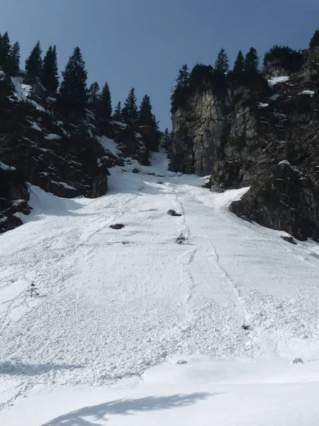 Avalance Neige Dans Les Alpes Bavaroises Allemagne Hiver — Photo