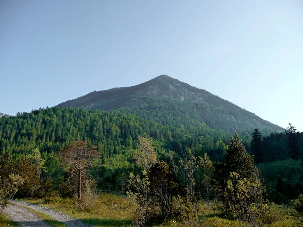 Wycieczka Górska Górę Friederspitz Bawaria Niemcy — Zdjęcie stockowe