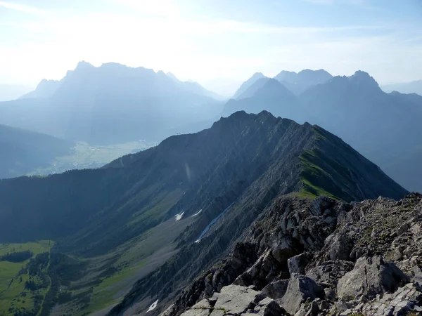 Schapen Bergwandeltocht Naar Grubigstein Gartnerwand Tirol Oostenrijkgartnerwand Bergwandelen Tirol Oostenrijk — Stockfoto