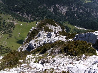 Mountain hiking tour to mountain Guffert in Tyrol, Austria in springtime clipart