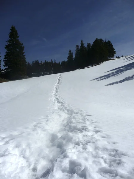 Randonnée Hivernale Montagne Fockenstein Bavière Allemagne — Photo