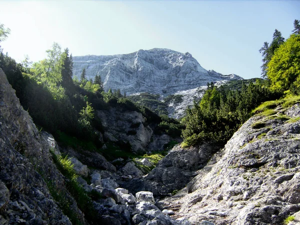 Lkbaharda Avusturya Nın Tyrol Kentindeki Guffert Dağı Dağ Yürüyüşü Turu — Stok fotoğraf