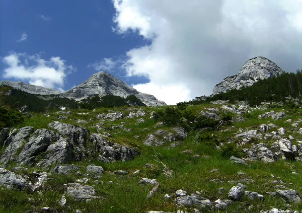 Bergwandeltocht Naar Berg Guffert Tirol Oostenrijk Het Voorjaar — Stockfoto