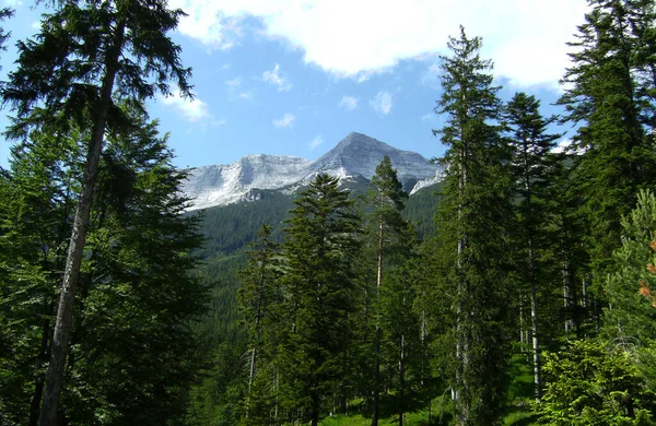 Bergwandeltocht Naar Berg Guffert Tirol Oostenrijk Het Voorjaar — Stockfoto