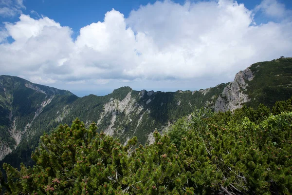 Ridge Mellan Herzogstand Och Heimgarten Bayern Tyskland Sommaren — Stockfoto